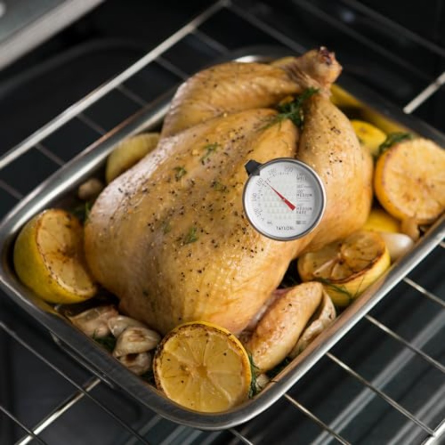Leave-in Meat Oven Safe Analog - Oven Thermometer Analog review and price